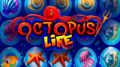 octopus life